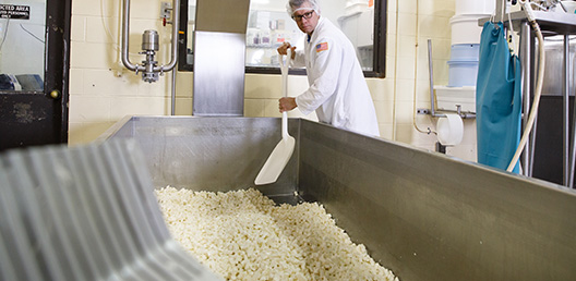 02_cheese market news_528x258